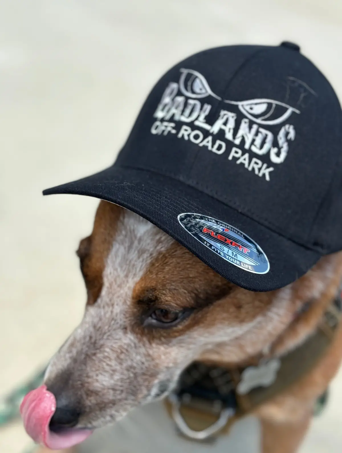 Badlands Black/Grey Flex-Fit Hat 1