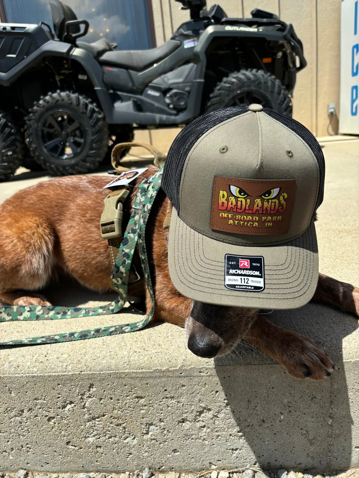 Badlands Richardson Color Patch Hat 1