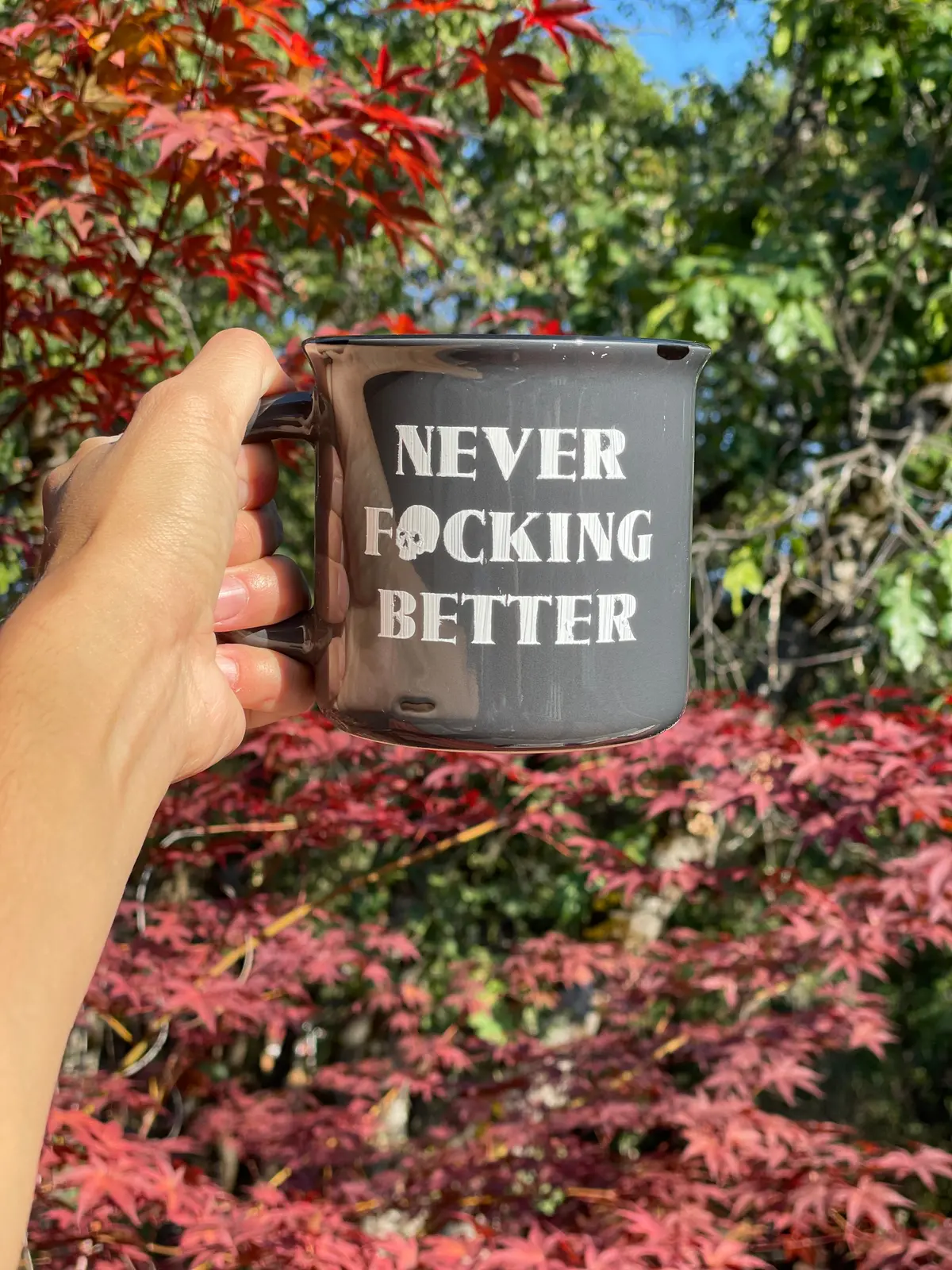 Never Better | Instock Rts Mugs | Coffee Mugs | Idgaf | Sale 1
