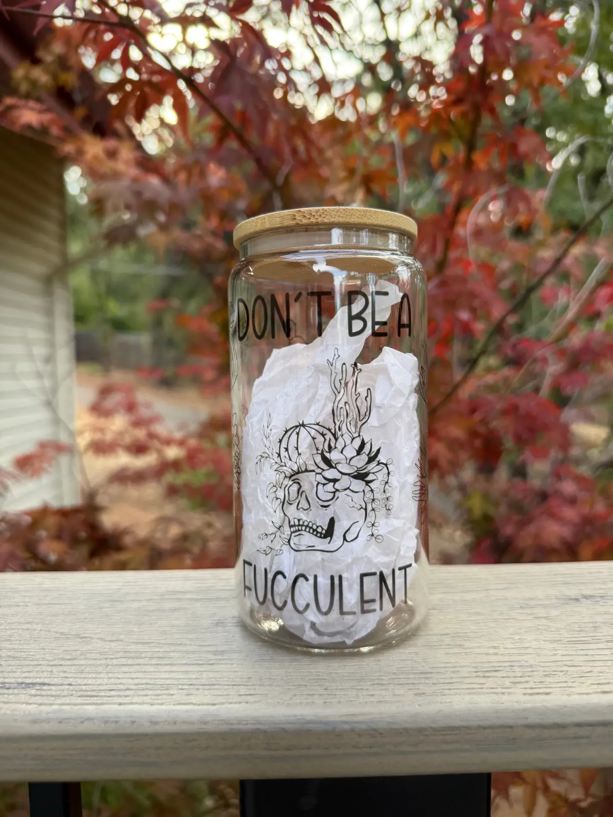 Don't Be A Fucculent | Don't Be A Dick | Beer Can Glass | Do It | Instock 1
