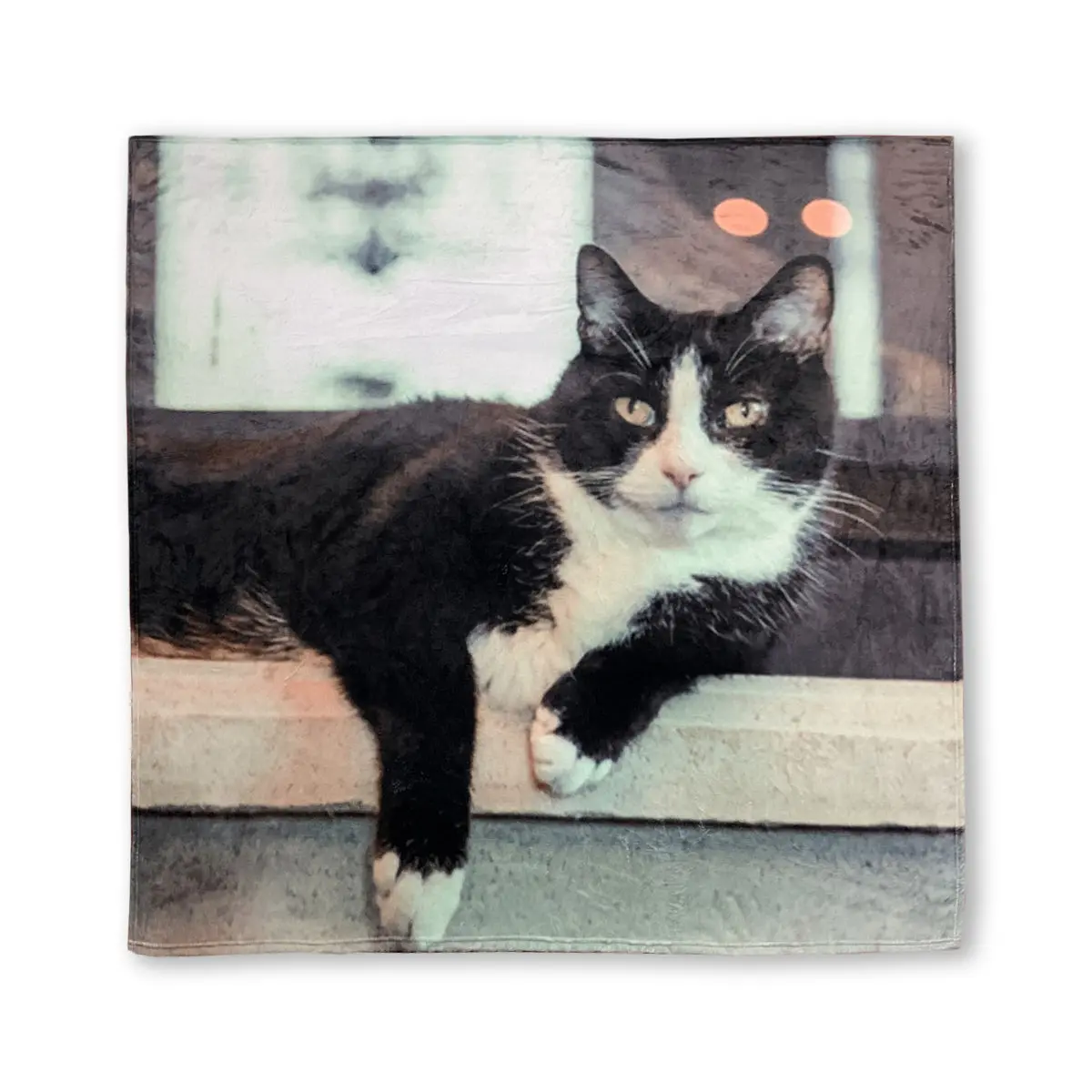 Professor Meowingtons Ultra Plush Blanket 1