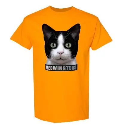 Orange Meowington 1
