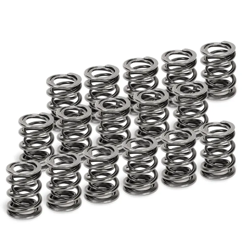 Supertech Honda H22a1/H22a4 Dual Valve Spring - Set Of 16 1