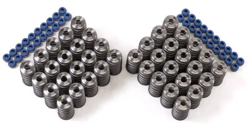 Gsc P-D Audi R8 V10 / Lamborghini Huracan V10 5.2L Valve Spring & Ti Retainer Kit (W/Seats & Seals) 1